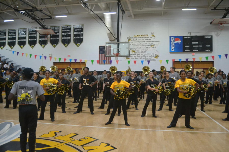 Sting in formation before a performance.